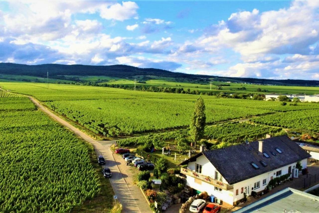 Ferienzimmer Weingut Mack 웨스트리크윈켈 외부 사진